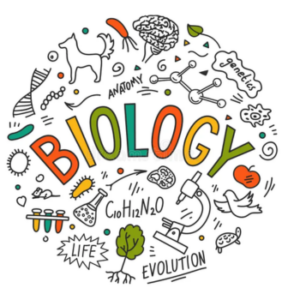A-Level Biology
